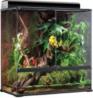 Vivariums for Beginners