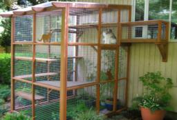 Building a Catio