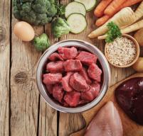 Pros and Cons of feeding raw dog food