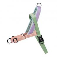 What is the best harness for your dog and how do you ensure that you make the correct choice