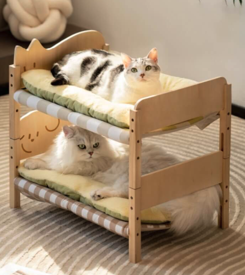 Choosing the best type of bed for your cat depends on your cat's preferences
