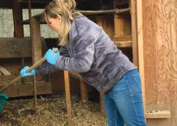 How Often Should You Clean Your Chicken Coop?