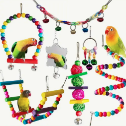 How to Organise Your Bird's Cage