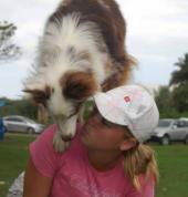 Canine Active Dog Agility Training Central Westville Agility Training 2_small