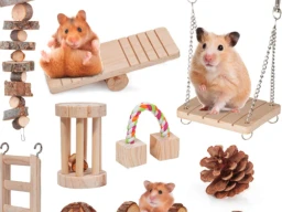 Treats and Activities for my Guinea Pig