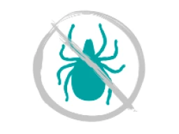 Treating our pets for ticks, fleas and worms