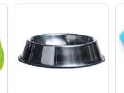 Dogs Bowls