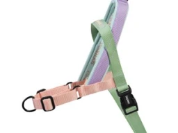 What is the best harness for your dog and how do you ensure that you make the correct choice