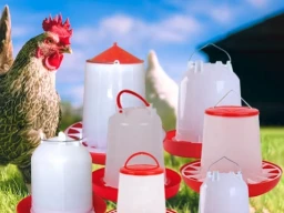 Feeder & Waterer Essentials