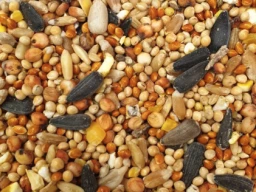 Seed vs. Pellets